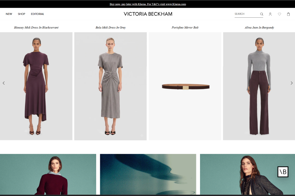 Top Clothing and Fashion Brands on Shopify