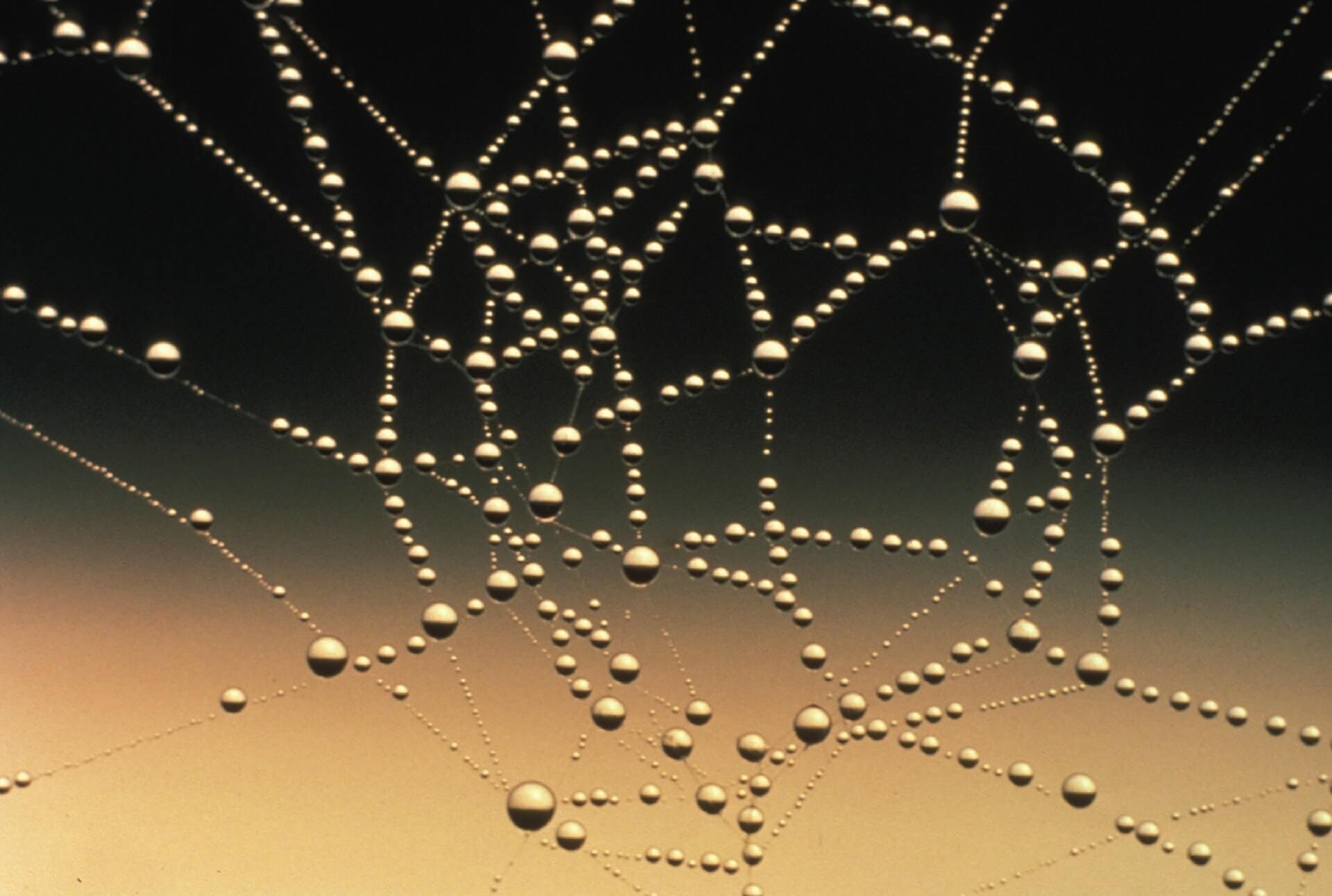 Link Building Strategies for Ecommerce