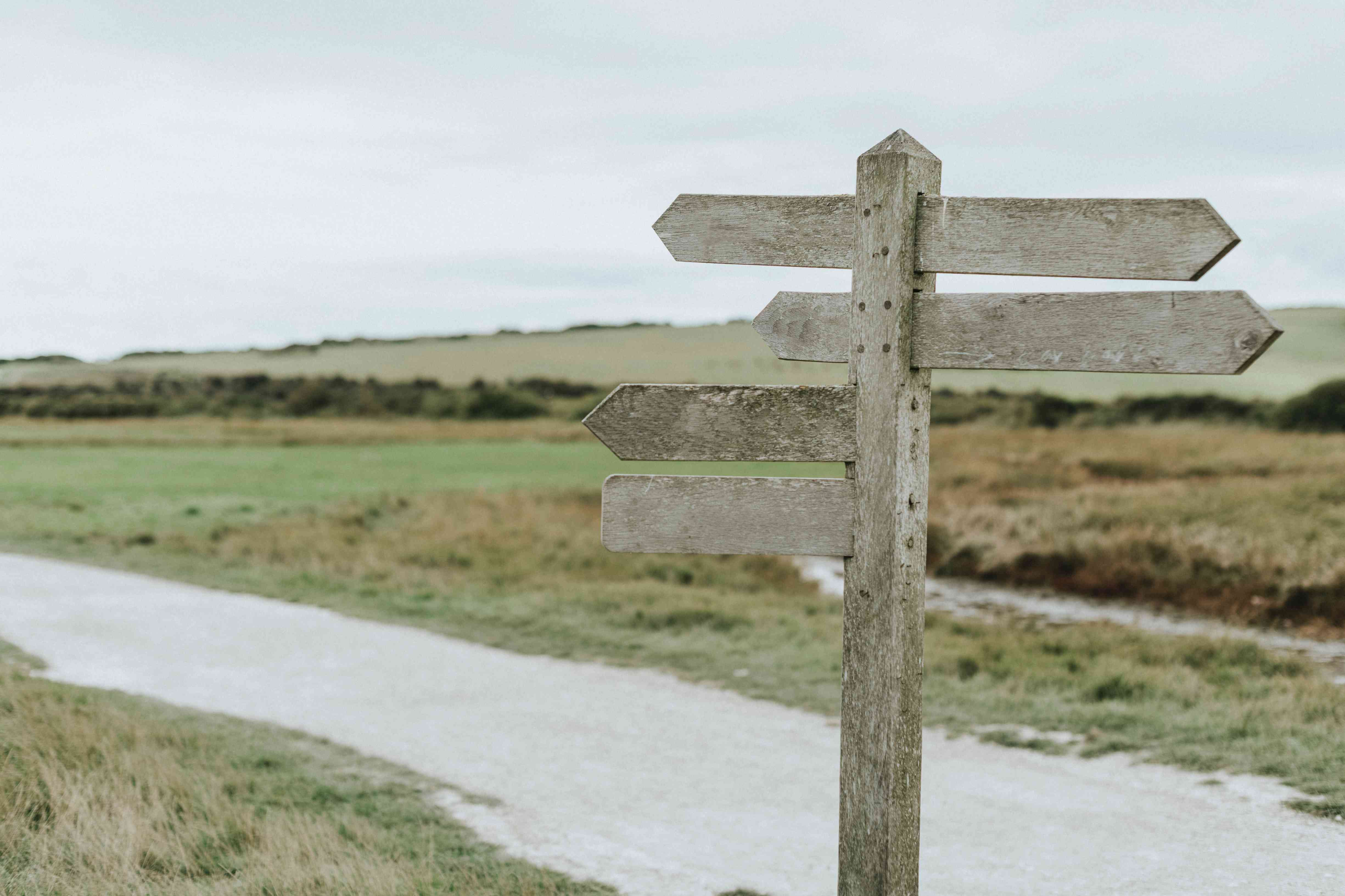Signpost in road showing different directions for different results