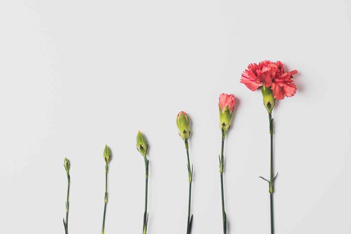 What is Conversion Rate Optimisation (CRO)  For A Shopify Website