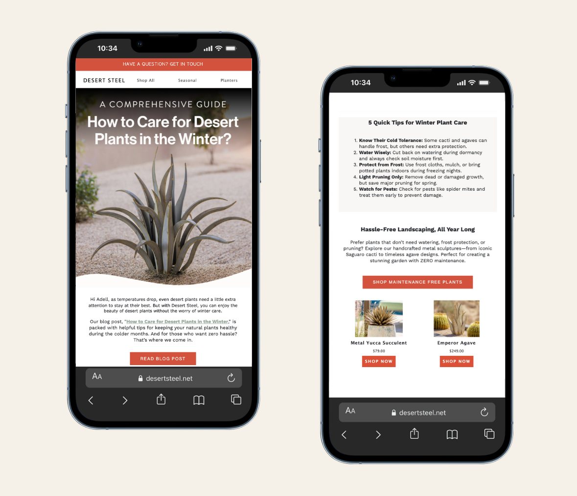 desert steel homepage on desktop and mobile