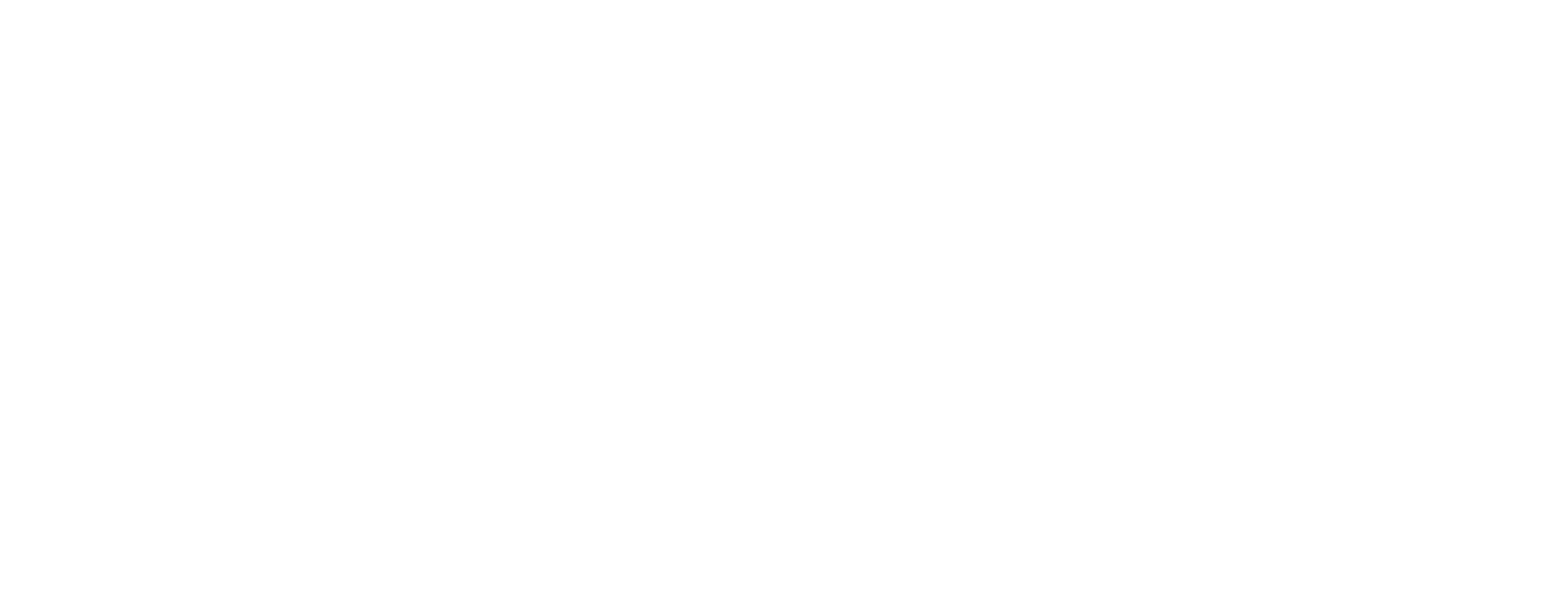 Google Partner