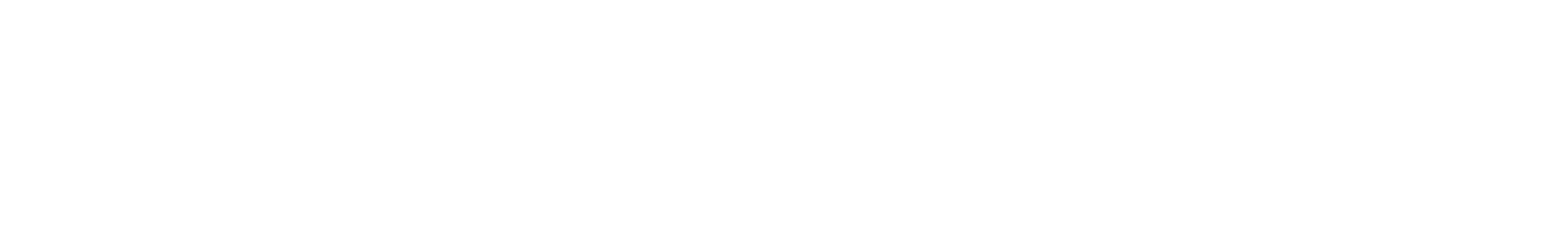 Shopify Experts
